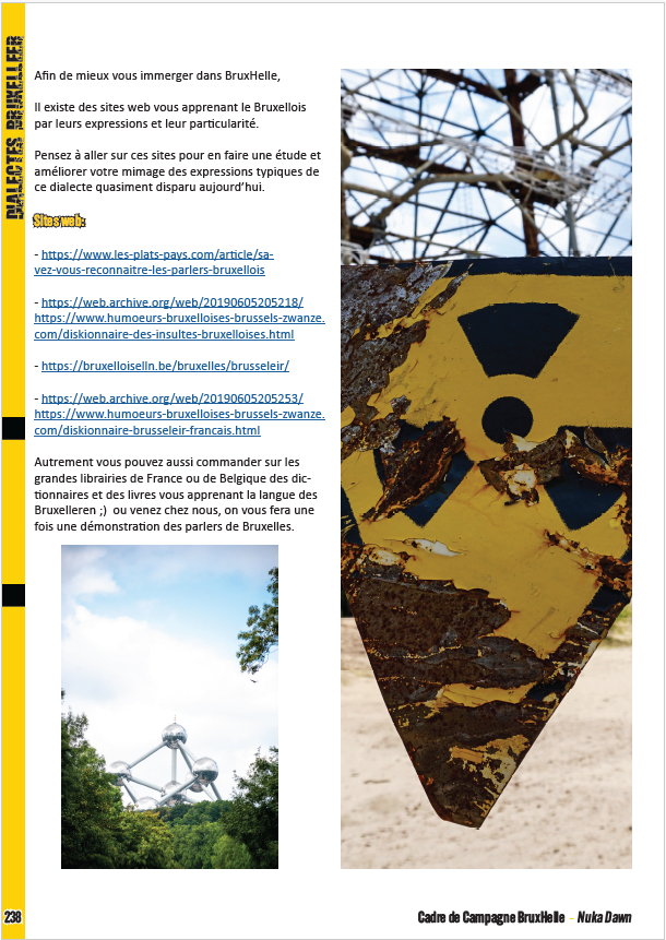 Nuka Dawn - Cadre de Campagne de Bruxelles – Image 3