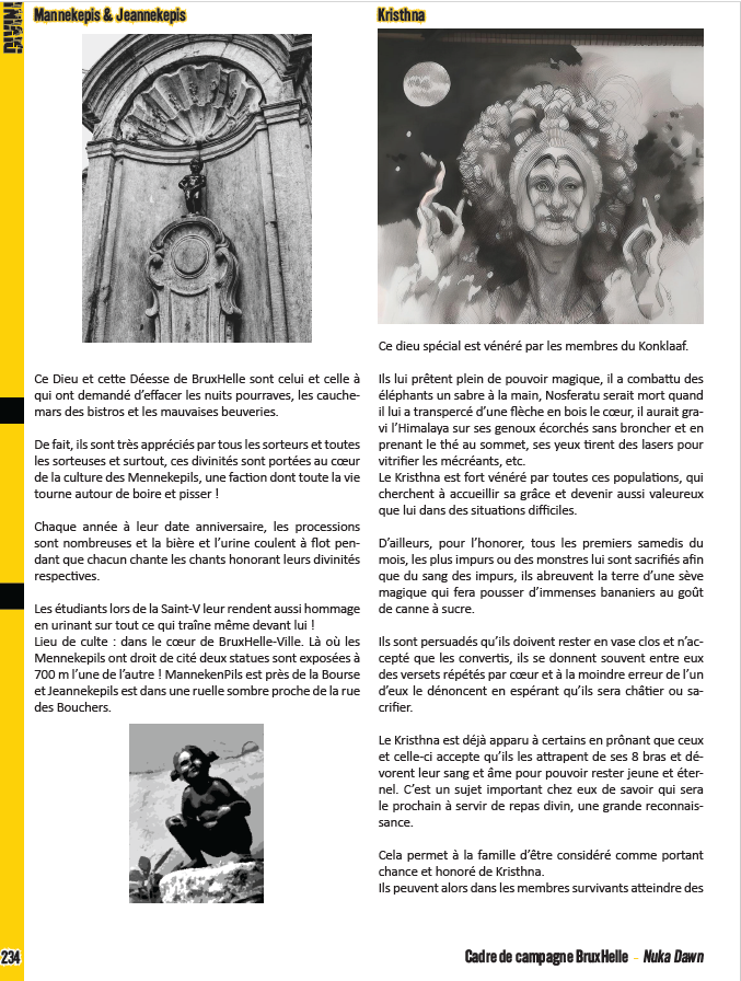 Nuka Dawn - Cadre de Campagne de Bruxelles – Image 2